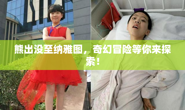 熊出没至纳雅图，奇幻冒险等你来探索！