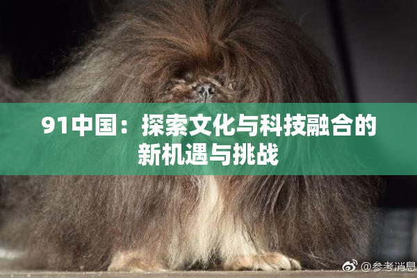 91中国：探索文化与科技融合的新机遇与挑战