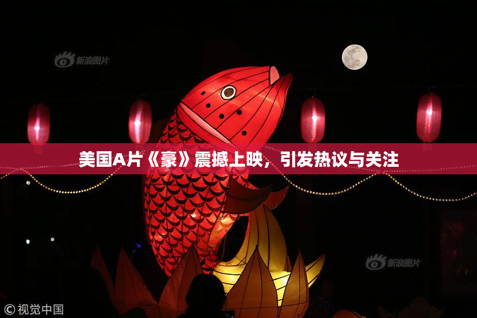 美国A片《豪》震撼上映，引发热议与关注
