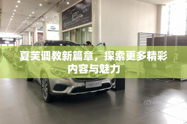 夏芙调教新篇章，探索更多精彩内容与魅力