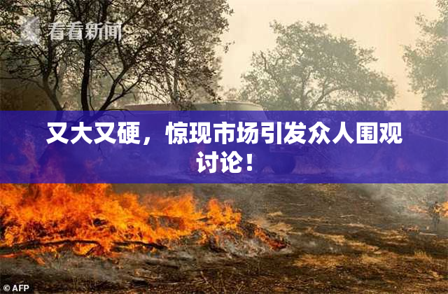 又大又硬，惊现市场引发众人围观讨论！