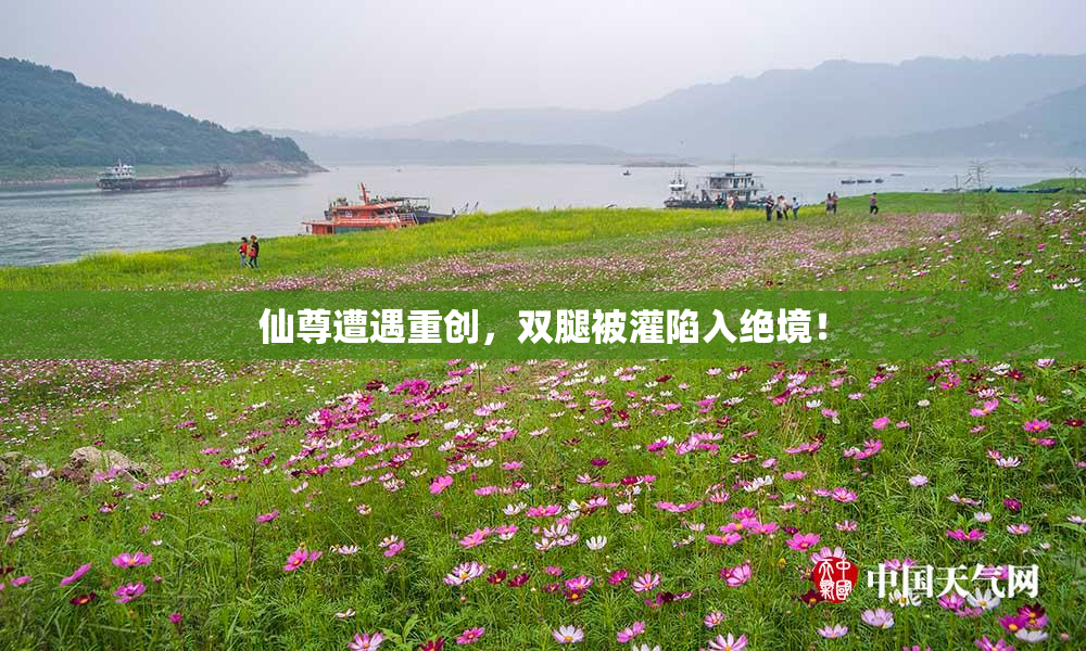 仙尊遭遇重创，双腿被灌陷入绝境！