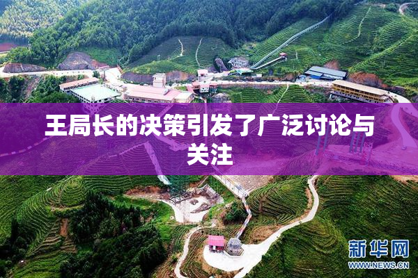 王局长的决策引发了广泛讨论与关注