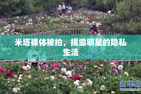 米塔裸体被拍，揭露明星的隐私生活
