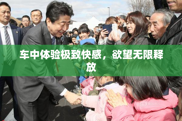 车中体验极致快感，欲望无限释放