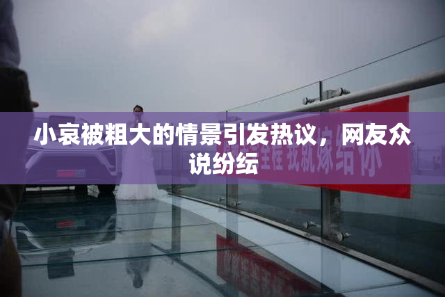 小哀被粗大的情景引发热议，网友众说纷纭