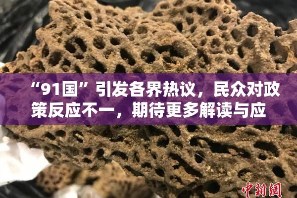 “91国”引发各界热议，民众对政策反应不一，期待更多解读与应对方案