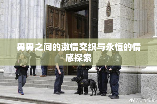 男男之间的激情交织与永恒的情感探索