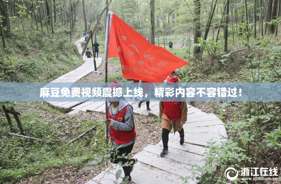 麻豆免费视频震撼上线，精彩内容不容错过！