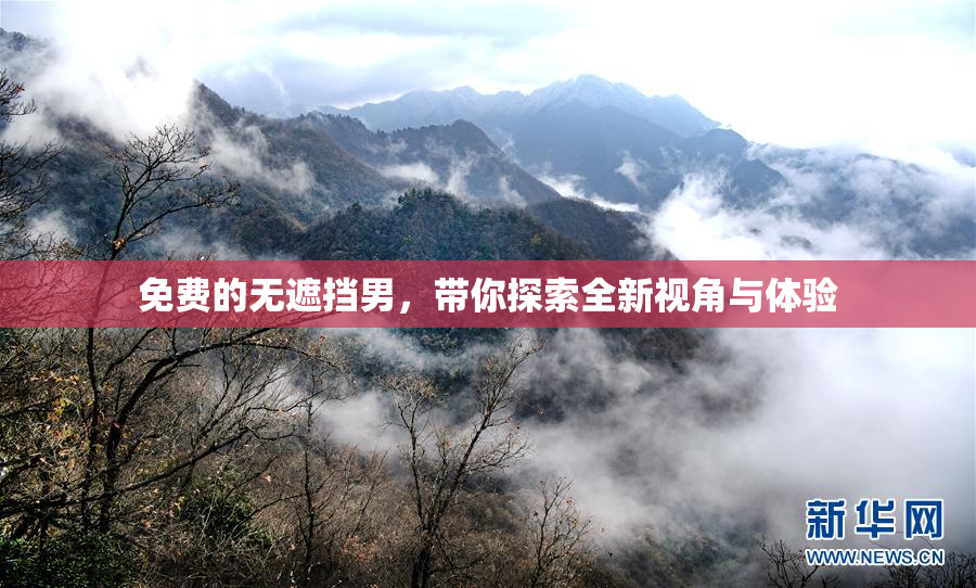 免费的无遮挡男，带你探索全新视角与体验