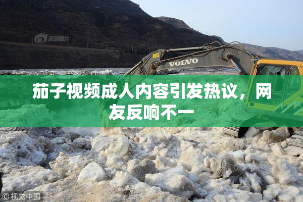 茄子视频成人内容引发热议，网友反响不一