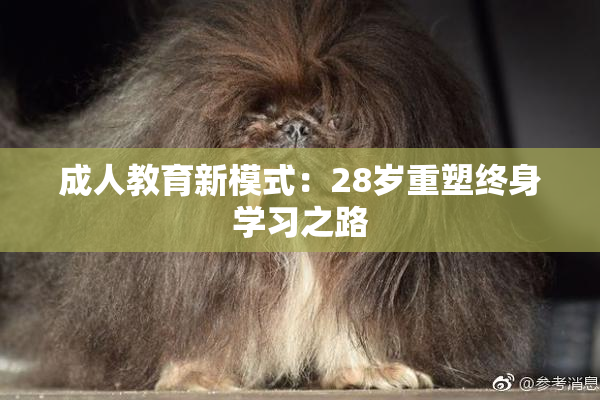 成人教育新模式：28岁重塑终身学习之路