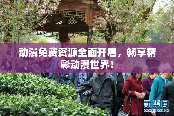 动漫免费资源全面开启，畅享精彩动漫世界！