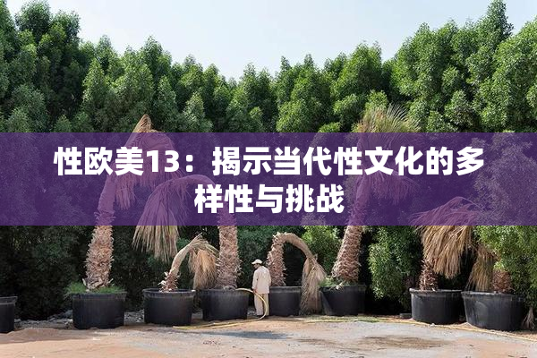性欧美13：揭示当代性文化的多样性与挑战
