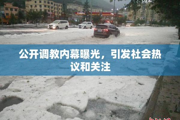 公开调教内幕曝光，引发社会热议和关注