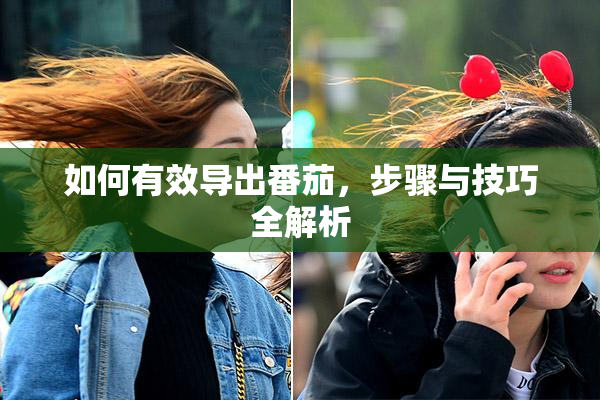 如何有效导出番茄，步骤与技巧全解析