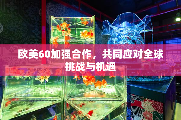 欧美60加强合作，共同应对全球挑战与机遇