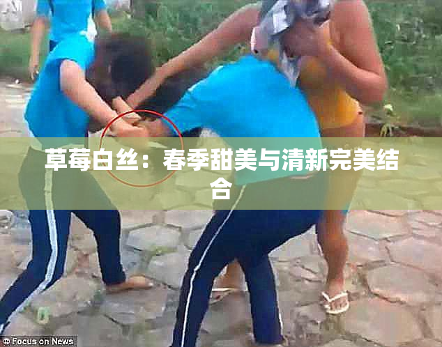 草莓白丝：春季甜美与清新完美结合