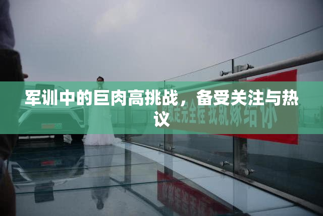 军训中的巨肉高挑战，备受关注与热议