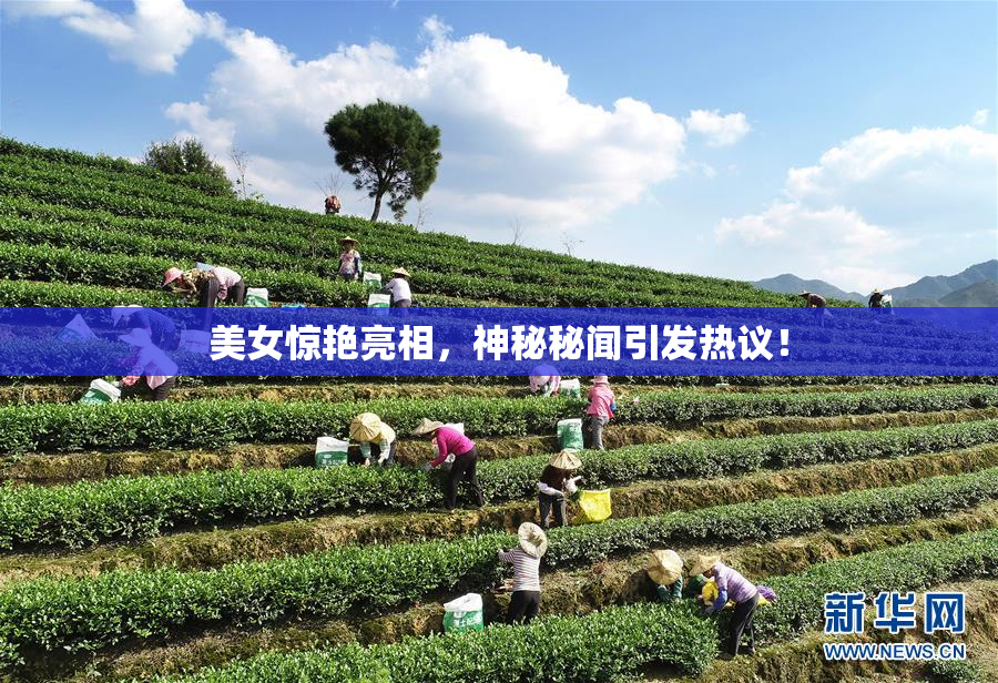 美女惊艳亮相，神秘秘闻引发热议！