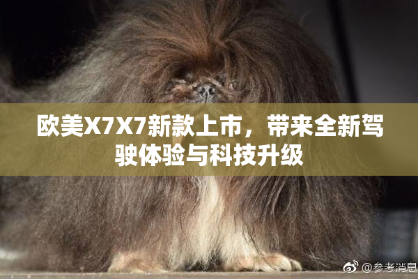 欧美X7X7新款上市，带来全新驾驶体验与科技升级