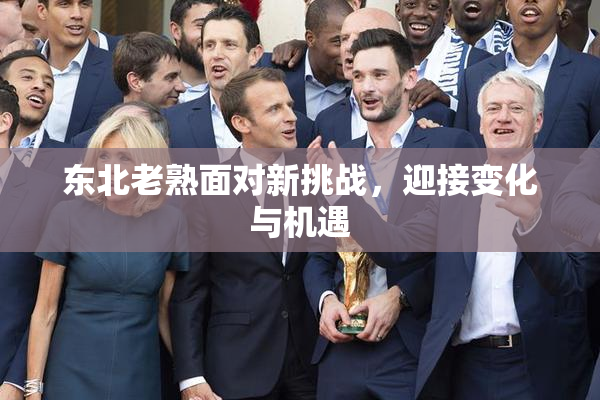 东北老熟面对新挑战，迎接变化与机遇