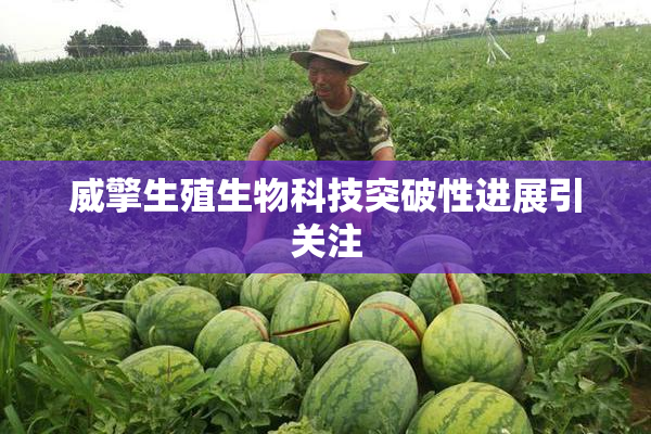 威擎生殖生物科技突破性进展引关注