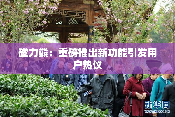 磁力熊：重磅推出新功能引发用户热议