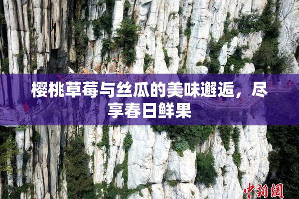 樱桃草莓与丝瓜的美味邂逅，尽享春日鲜果