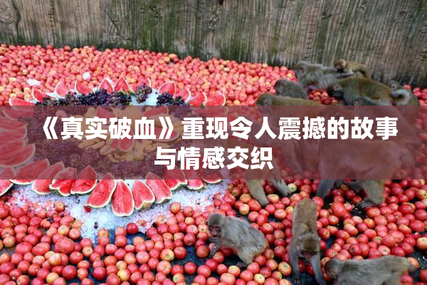 《真实破血》重现令人震撼的故事与情感交织