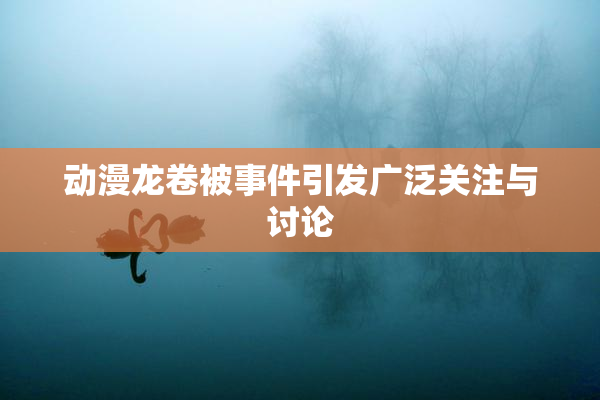 动漫龙卷被事件引发广泛关注与讨论