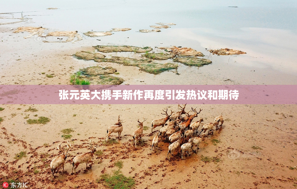 张元英大携手新作再度引发热议和期待