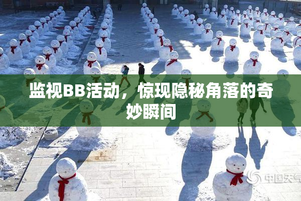 监视BB活动，惊现隐秘角落的奇妙瞬间