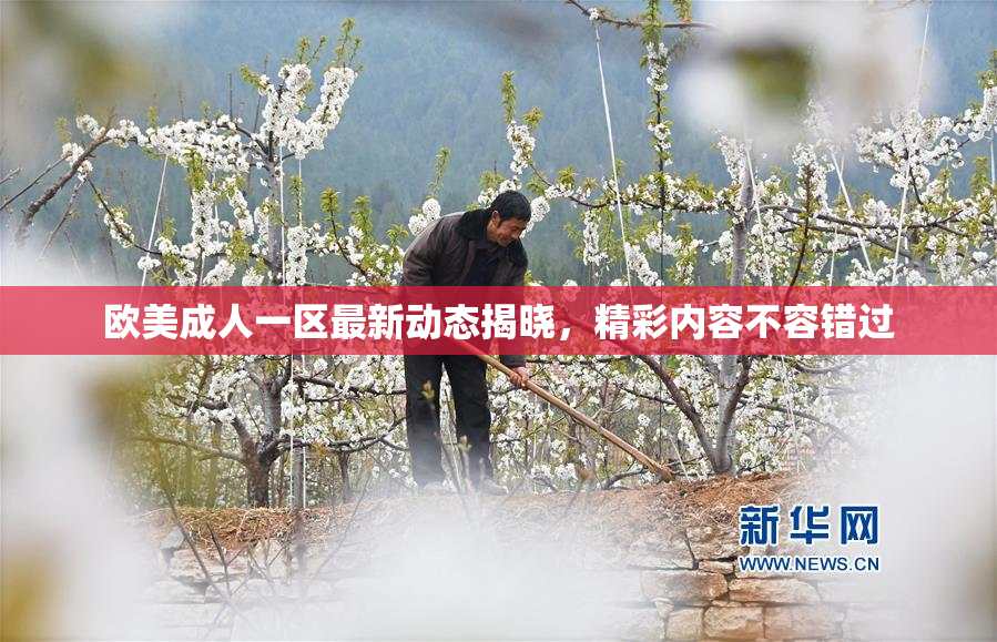 欧美成人一区最新动态揭晓，精彩内容不容错过