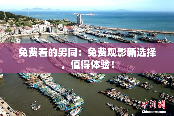 免费看的男同：免费观影新选择，值得体验！