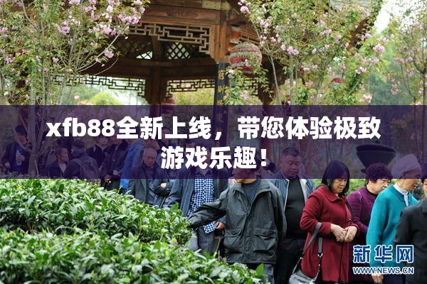 xfb88全新上线，带您体验极致游戏乐趣！