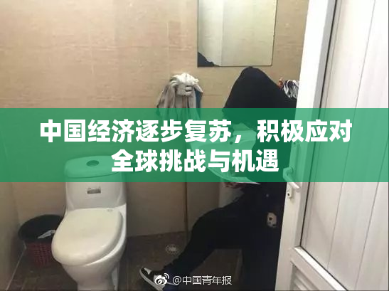 中国经济逐步复苏，积极应对全球挑战与机遇