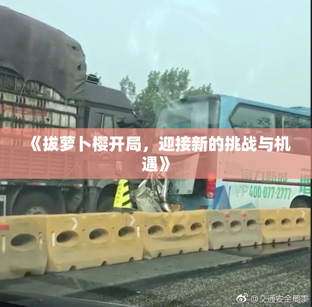 《拔萝卜樱开局，迎接新的挑战与机遇》