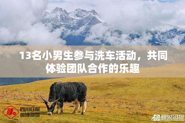 13名小男生参与洗车活动，共同体验团队合作的乐趣