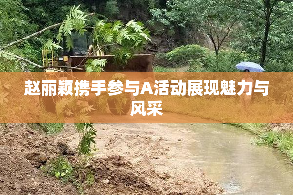 赵丽颖携手参与A活动展现魅力与风采