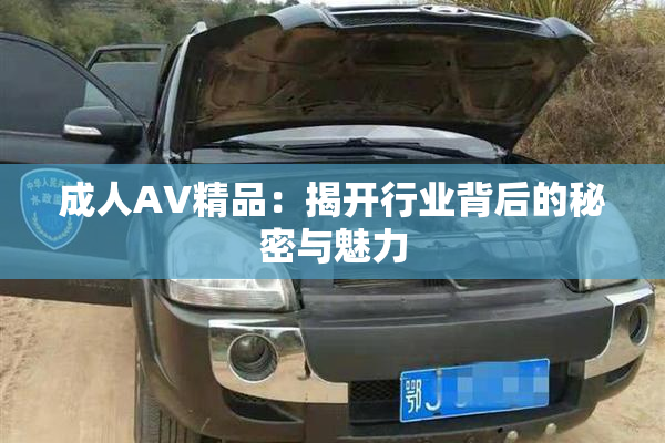 成人AV精品：揭开行业背后的秘密与魅力