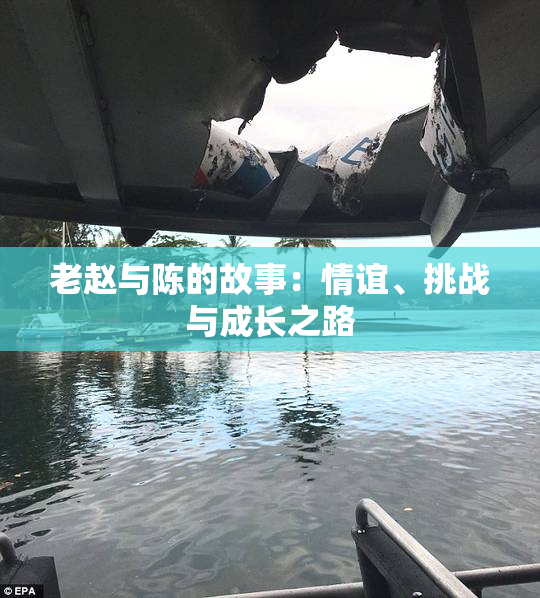 老赵与陈的故事：情谊、挑战与成长之路