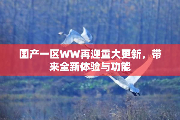 国产一区WW再迎重大更新，带来全新体验与功能