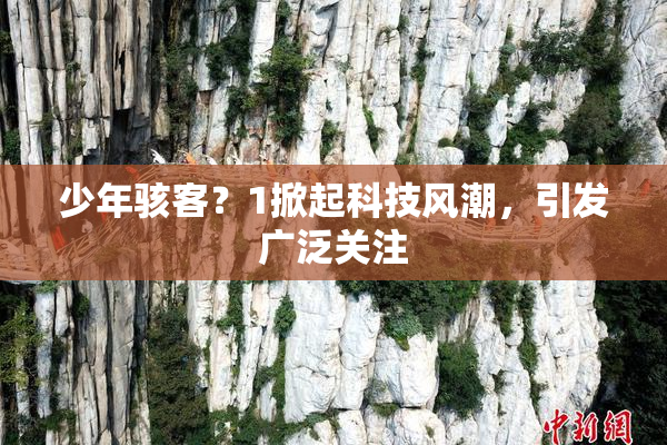 少年骇客？1掀起科技风潮，引发广泛关注