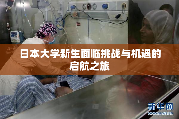 日本大学新生面临挑战与机遇的启航之旅