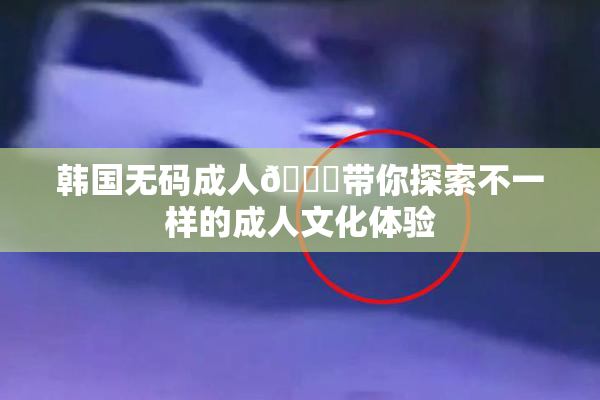 韩国无码成人🔞带你探索不一样的成人文化体验