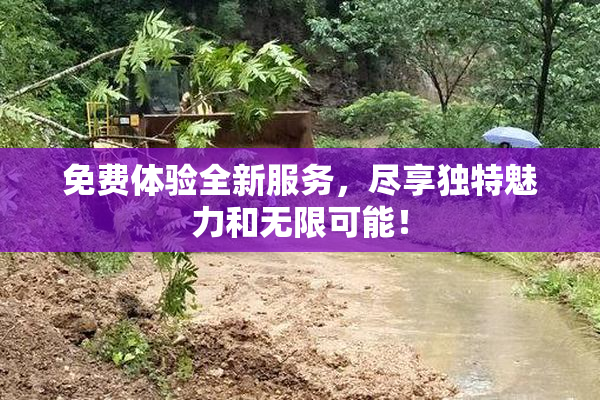 免费体验全新服务，尽享独特魅力和无限可能！