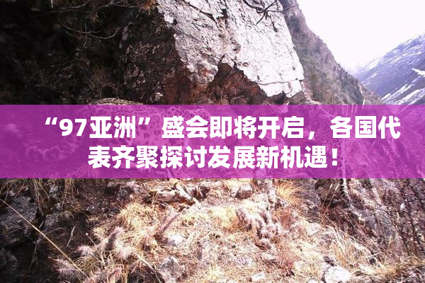 “97亚洲”盛会即将开启，各国代表齐聚探讨发展新机遇！