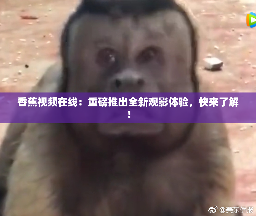 香蕉视频在线：重磅推出全新观影体验，快来了解！