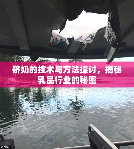 挤奶的技术与方法探讨，揭秘乳品行业的秘密